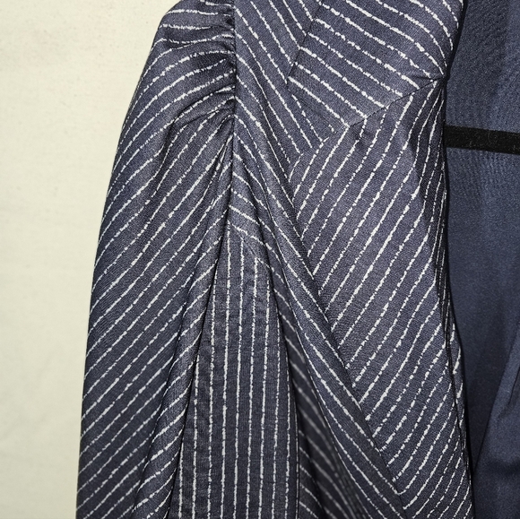 Ryegrass Navy Pinstripe Blazer - Picture 3 of 7